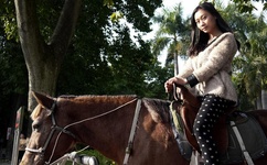 蜜芽忘忧草三区老狼大豆